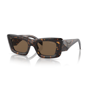 BROWN SOLID LENSES WITH TORTOISE DARK BROWN FRAME