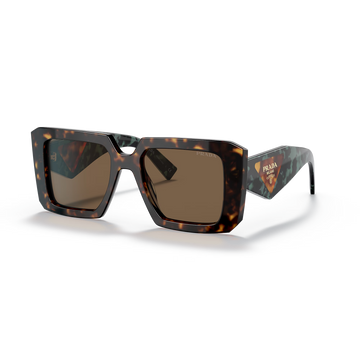 SOLID BROWN LENSES WITH TORTOISE FRAME